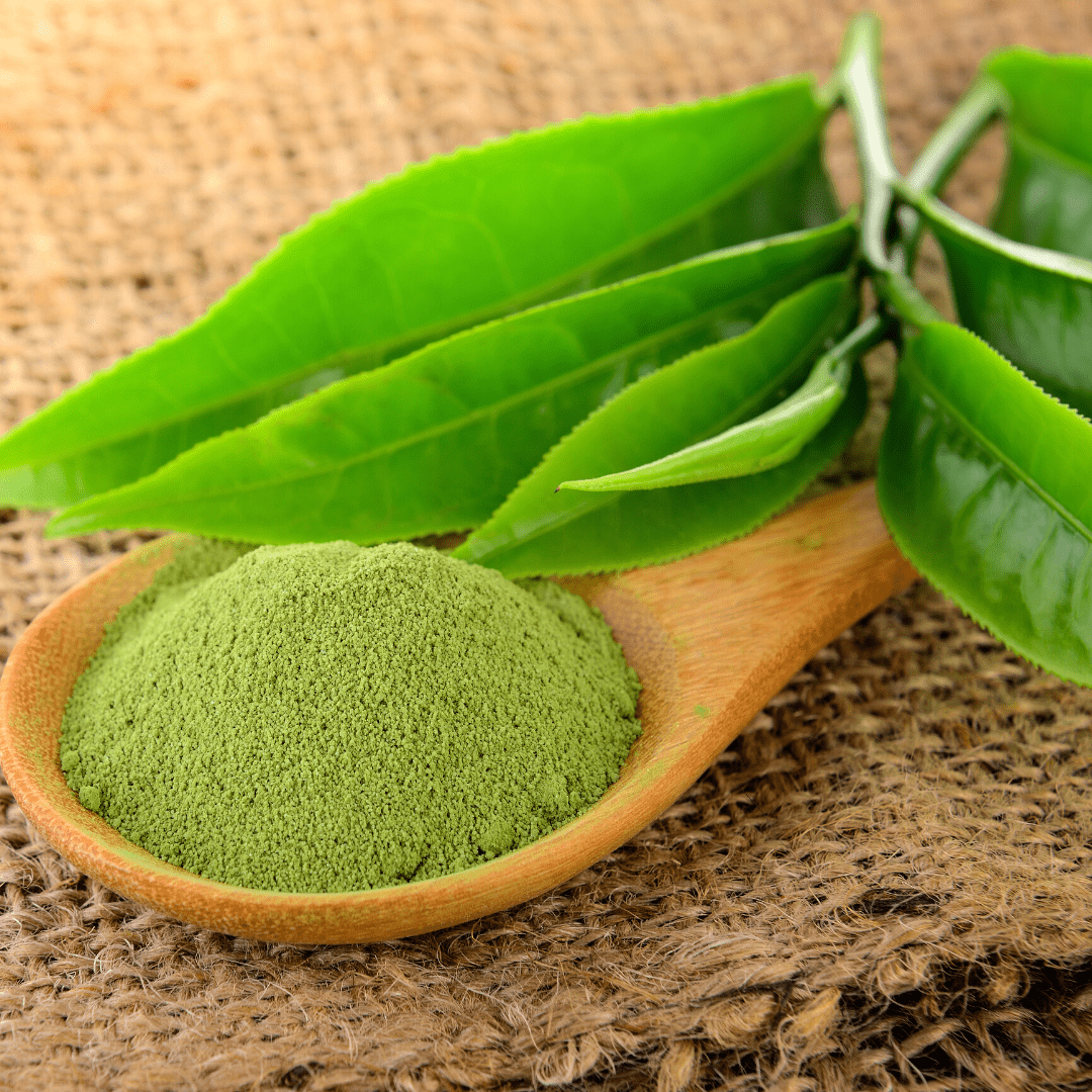 Tega Organic Japanese Matcha Green Tea Powder 40g - PureMatcha Blends